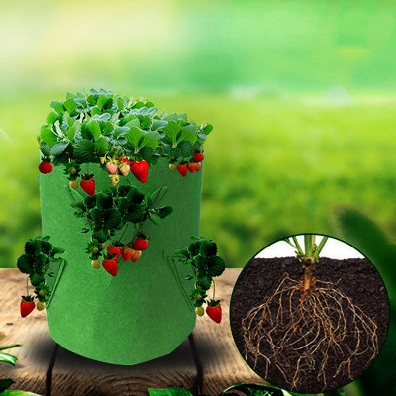 Fabric Grow Bags for Plants - hari kitch
