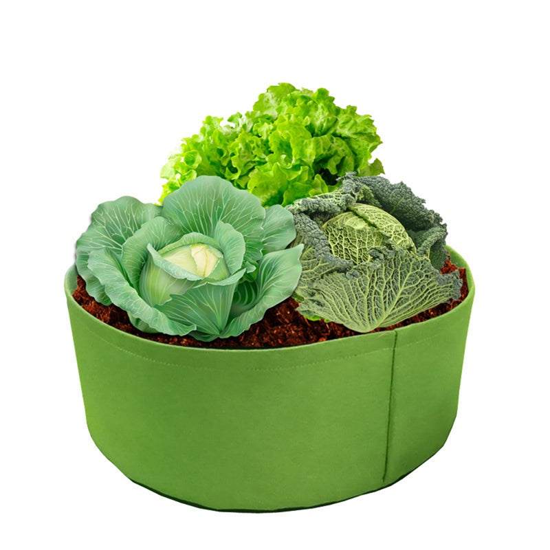 Fabric Grow Bags for Plants - hari kitch