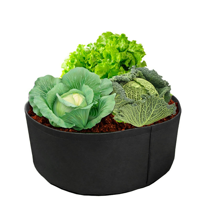 Fabric Grow Bags for Plants - hari kitch