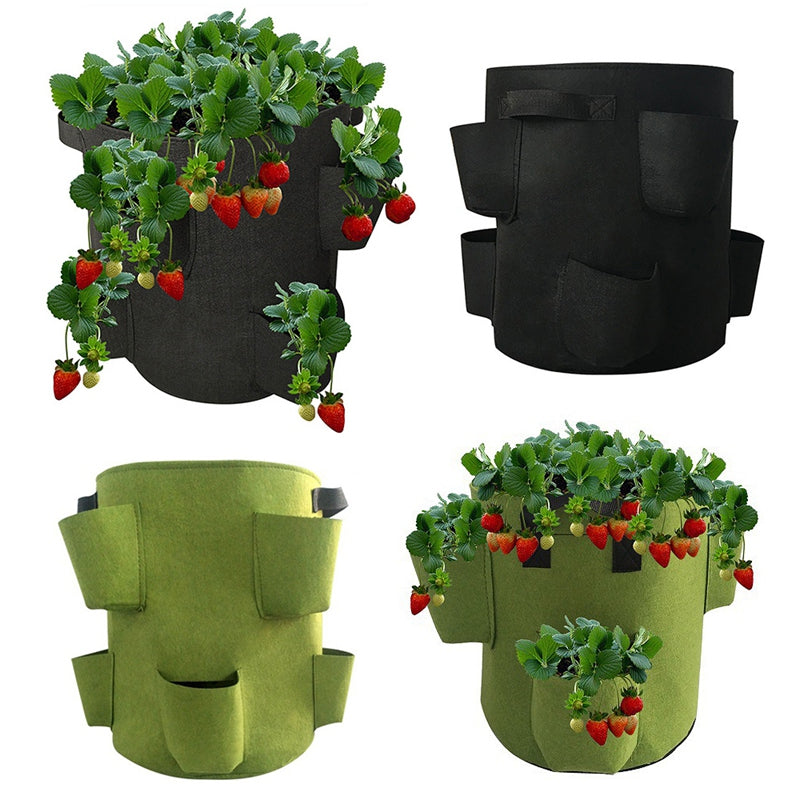 4/8 Pockets Strawberry Grow Bags for Plant - hari kitch