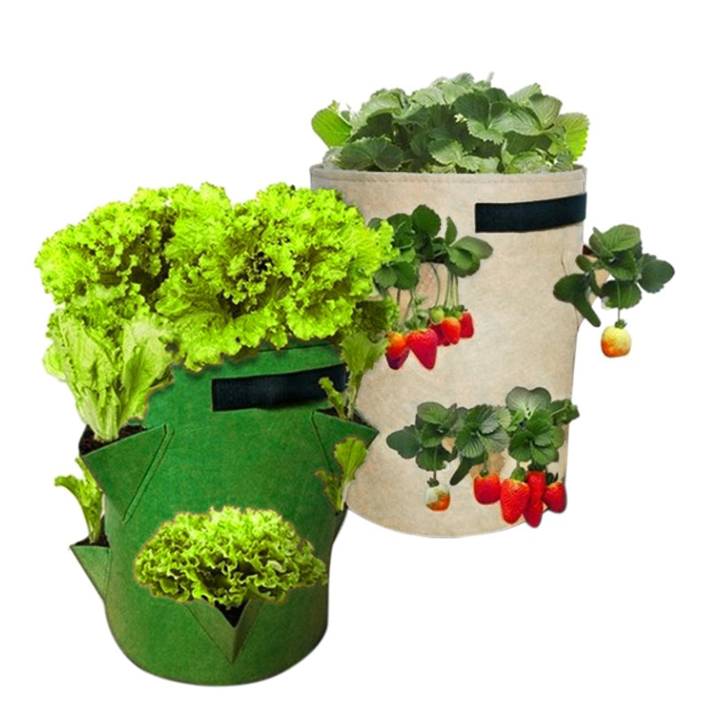 Fabric Grow Bags for Plants - hari kitch