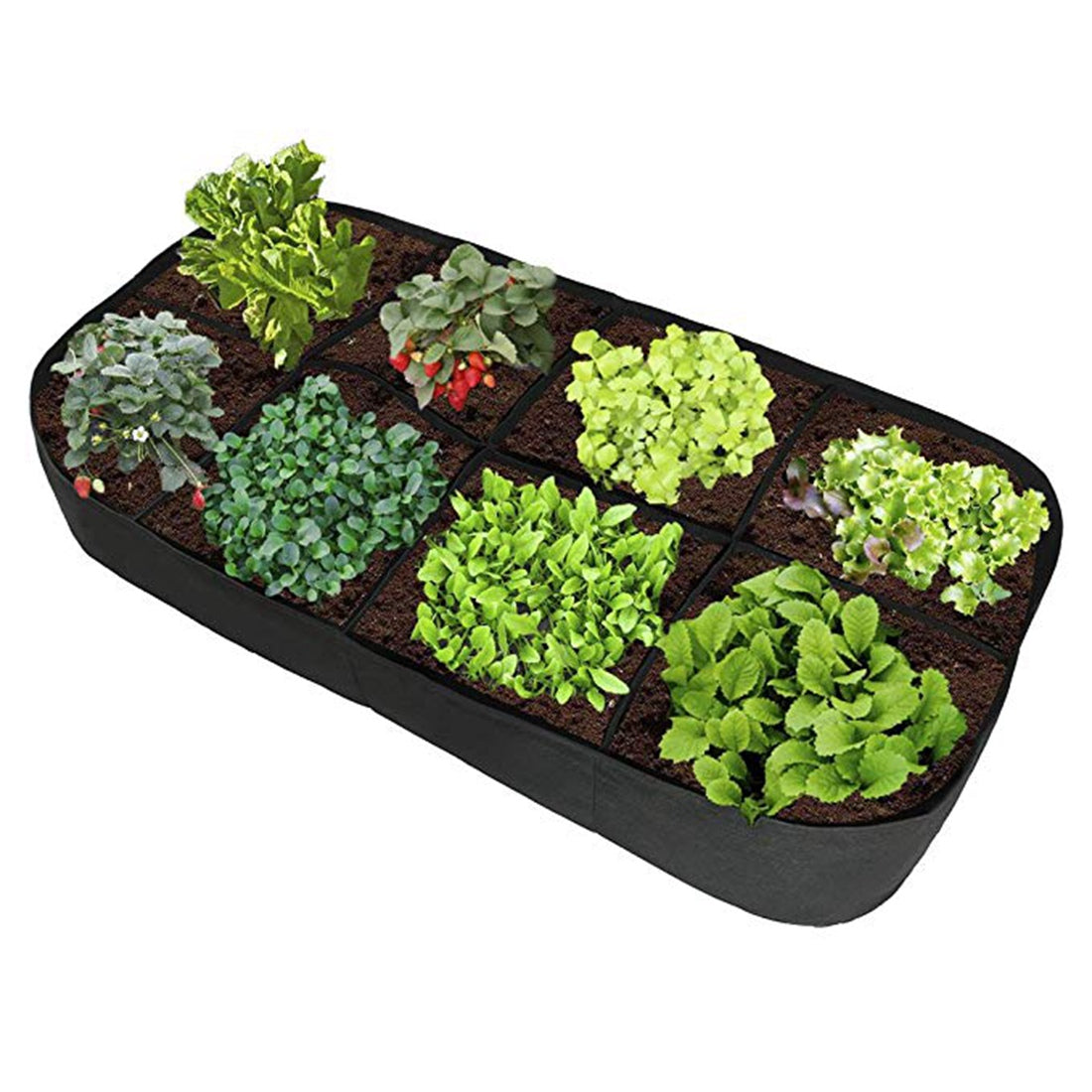 Fabric Grow Bags for Plants - hari kitch