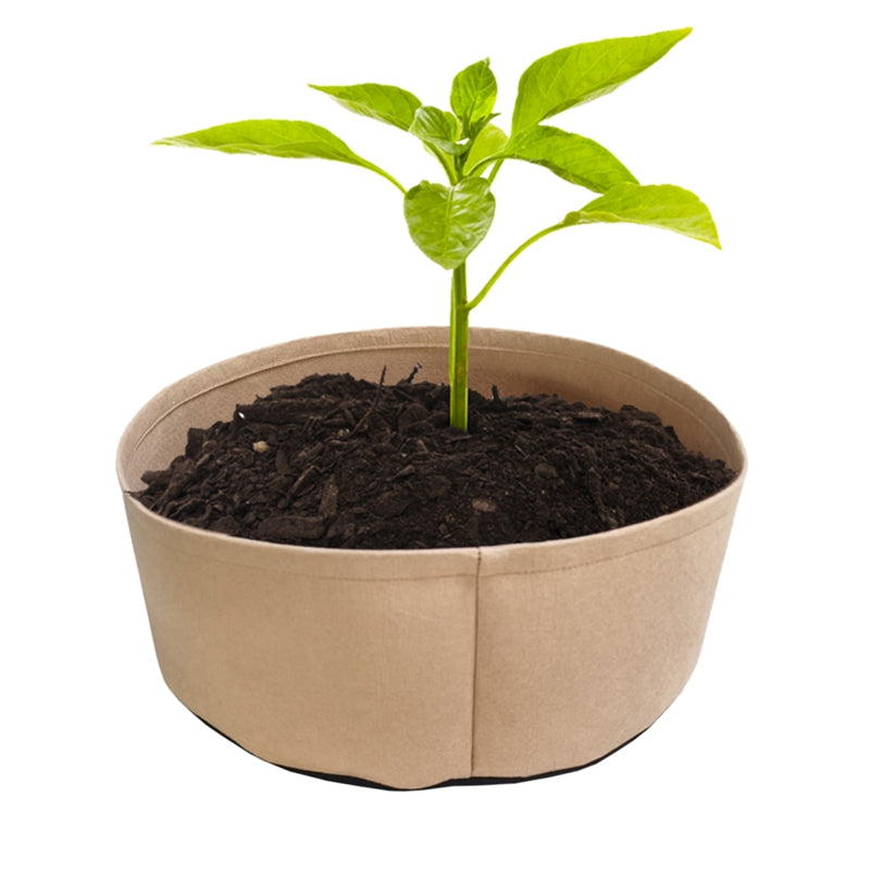 Fabric Grow Bags for Plants - hari kitch