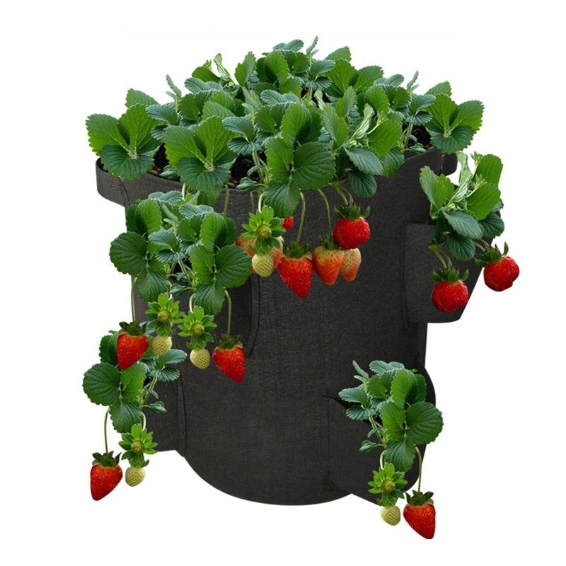 4/8 Pockets Strawberry Grow Bags for Plant - hari kitch