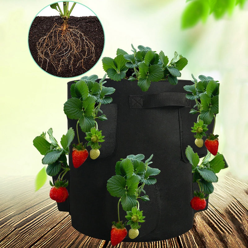 4/8 Pockets Strawberry Grow Bags for Plant - hari kitch