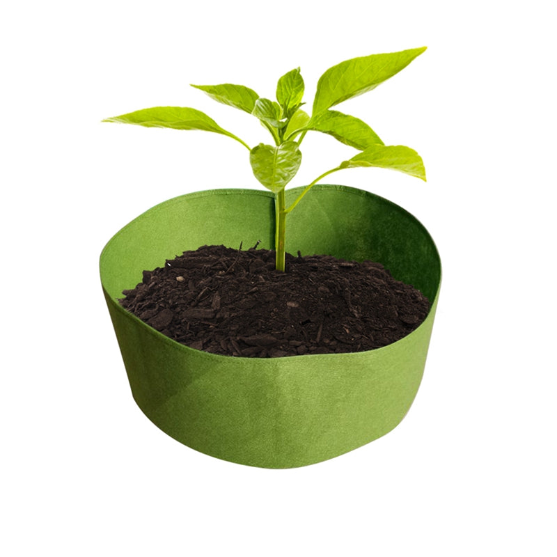 Felt Garden Grow Bag - hari kitch